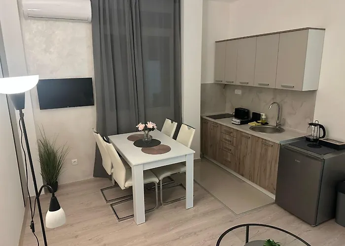 2- Sokobanjica Daire Soko Banja