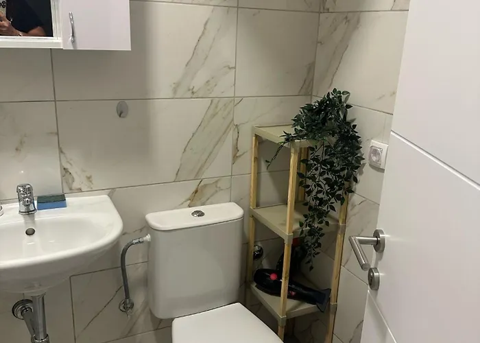 2- Sokobanjica Daire